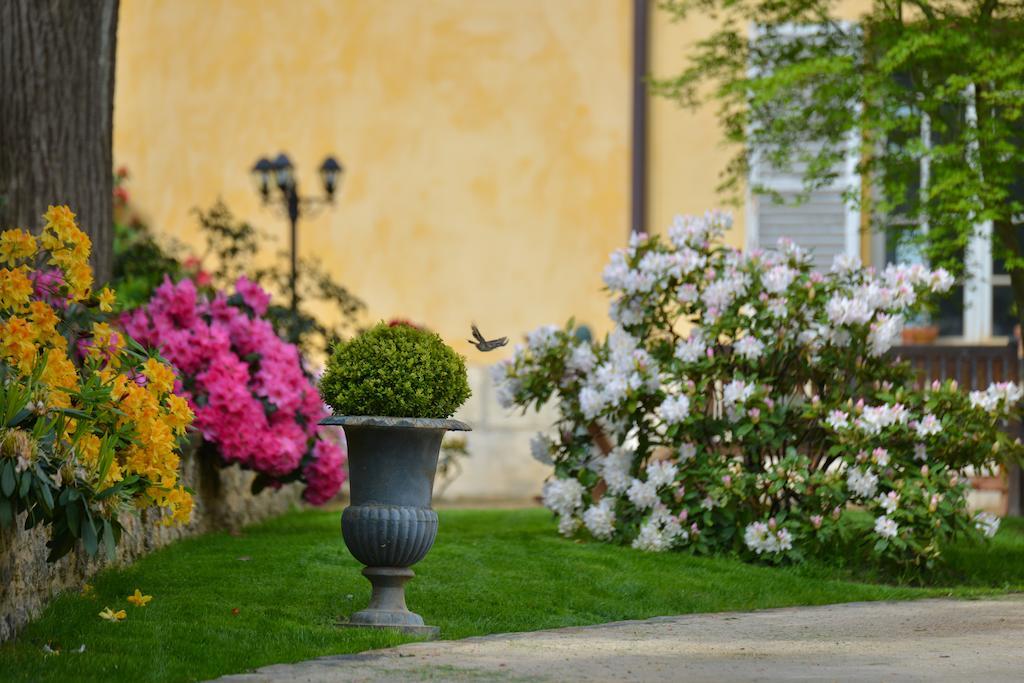 Charmilles Des Cordeliers Bed & Breakfast Paris Exterior photo